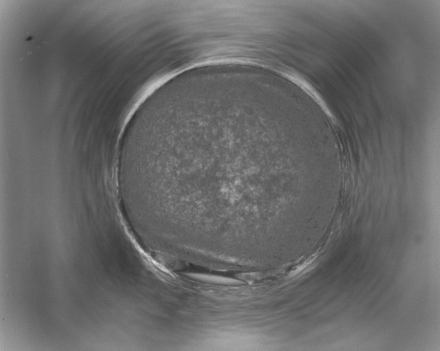 X0000056001101200509092039