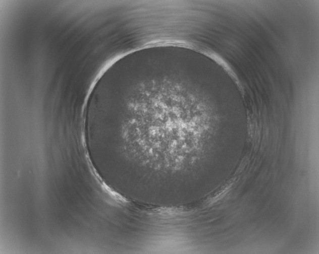 X0000056001102200509092039