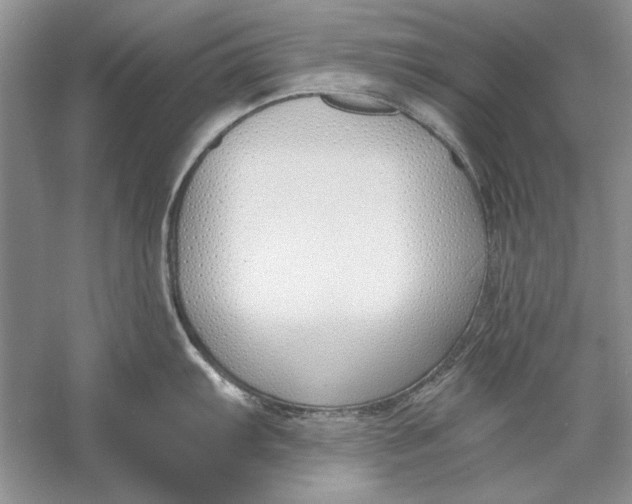 X0000056001103200509092039