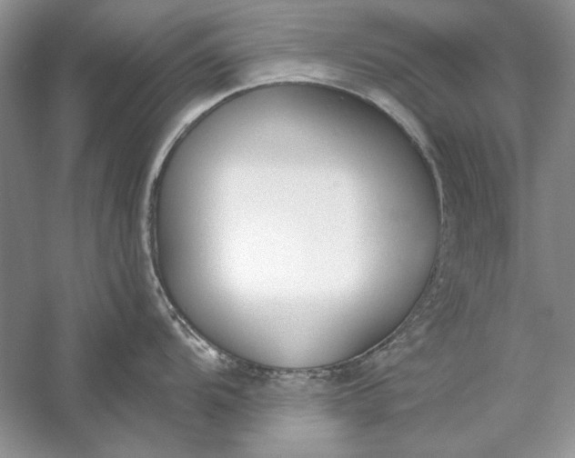 X0000056001104200509092039