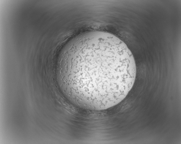 X0000056001105200509092038