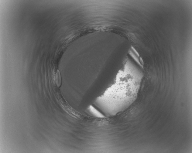 X0000056001106200509092038