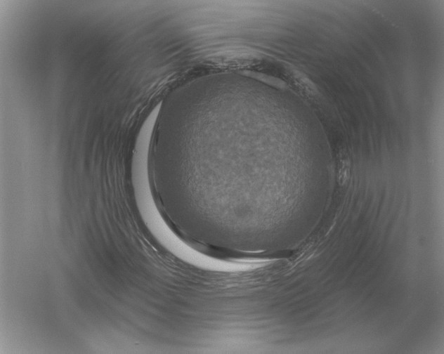 X0000056001108200509092038