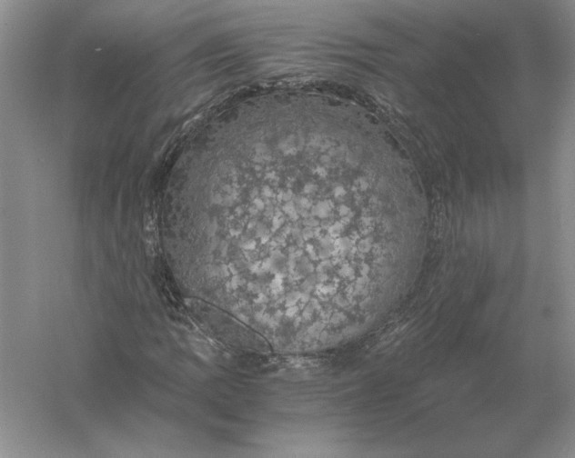 X0000056001109200509092038