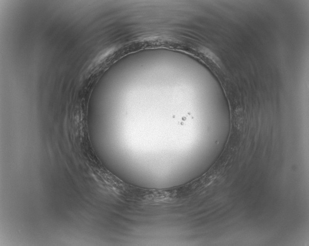 X0000056001111200509092038