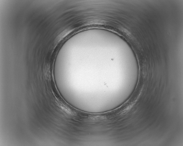 X0000056001113200509092038