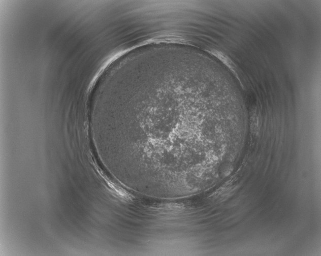 X0000056001115200509092038