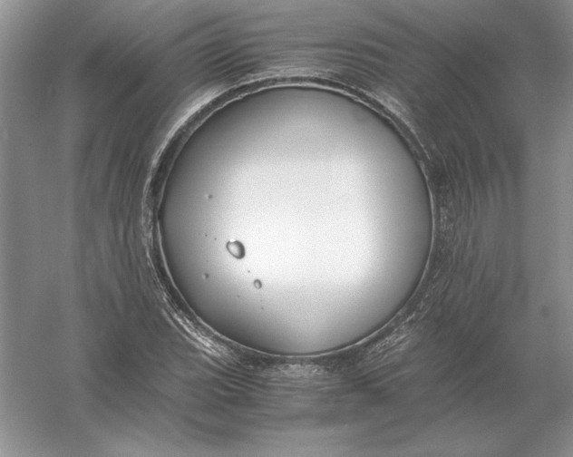 X0000056001119200509092038