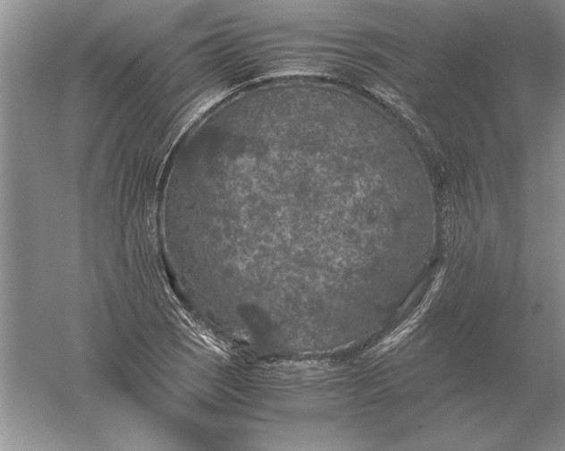 X0000056001121200509092038