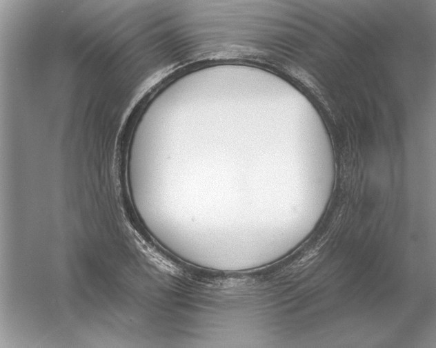 X0000056001122200509092039