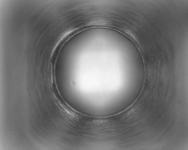 X0000056001123200509092039