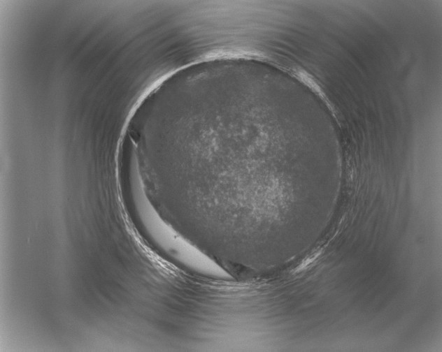 X0000056001124200509092039