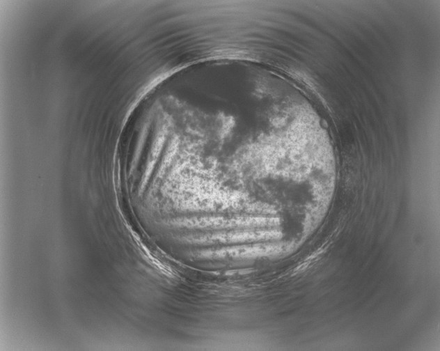 X0000056001125200509092039