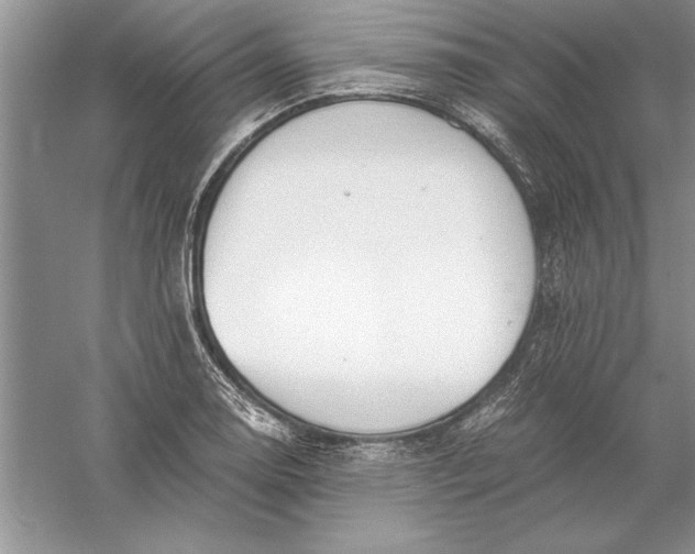 X0000056001130200509092039