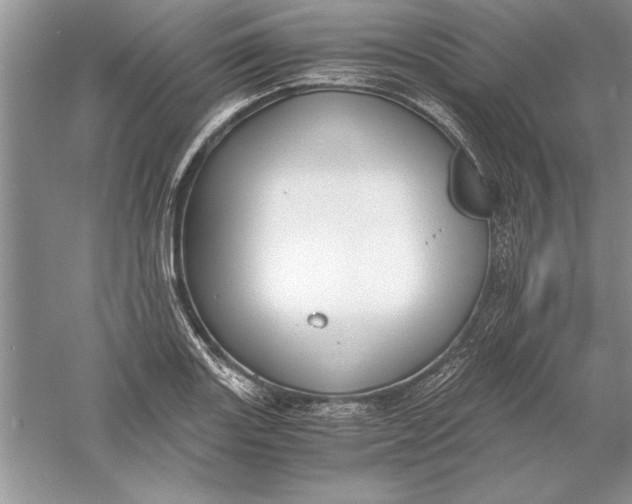 X0000056001131200509092039