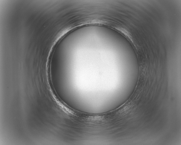 X0000056001135200509092039