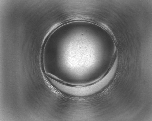 X0000056001138200509092039