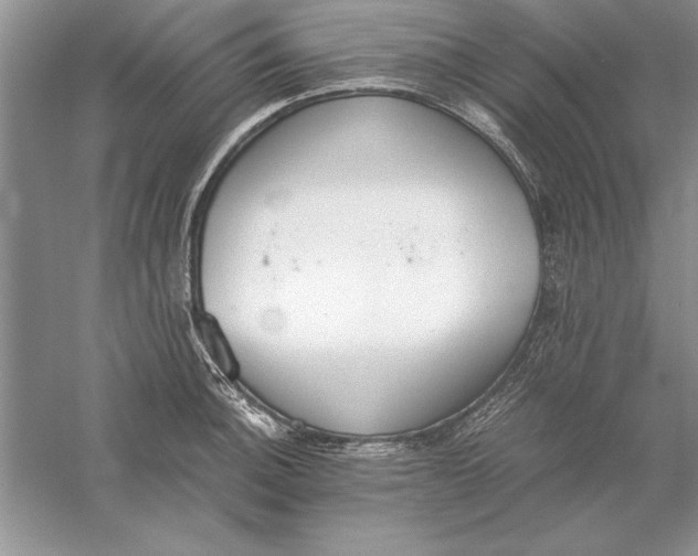 X0000056001140200509092039