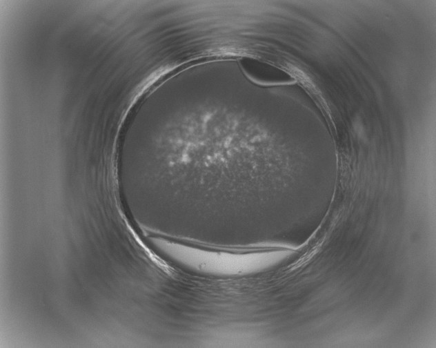 X0000056001141200509092039