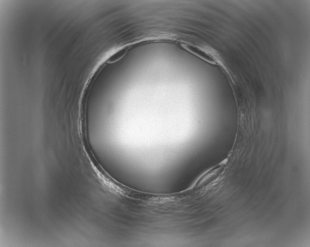 X0000056001143200509092039