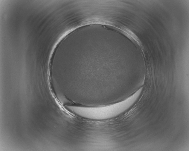 X0000056001144200509092039