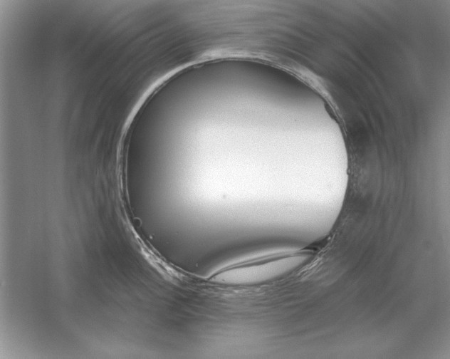 X0000056001148200509092039