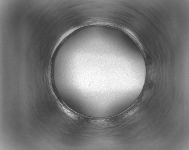 X0000056001149200509092039