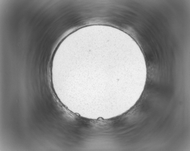 X0000056001150200509092039