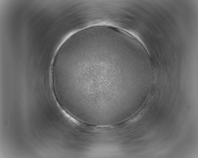 X0000056001151200509092039