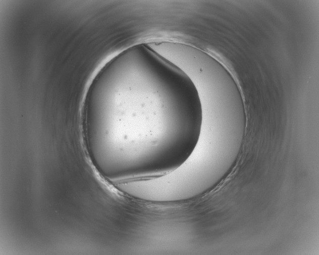 X0000056001152200509092039