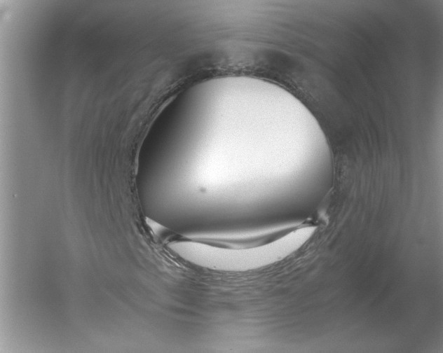 X0000056001153200509092038