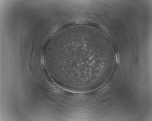 X0000056001155200509092038