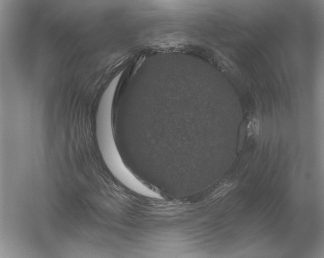 X0000056001156200509092038