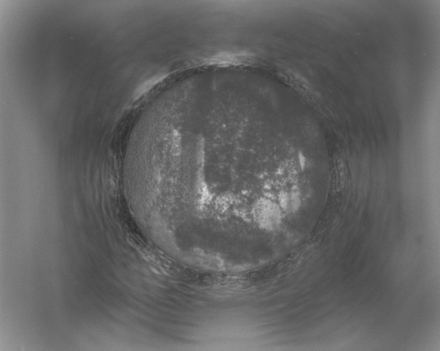 X0000056001158200509092038