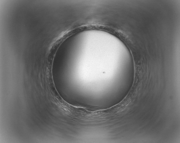 X0000056001159200509092038