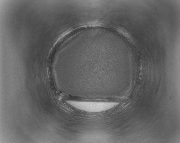 X0000056001160200509092038