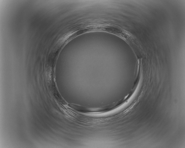 X0000056001161200509092038