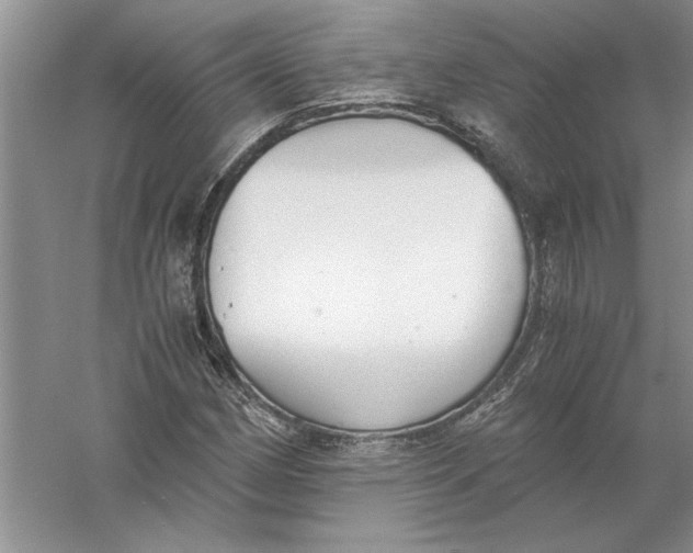 X0000056001162200509092038