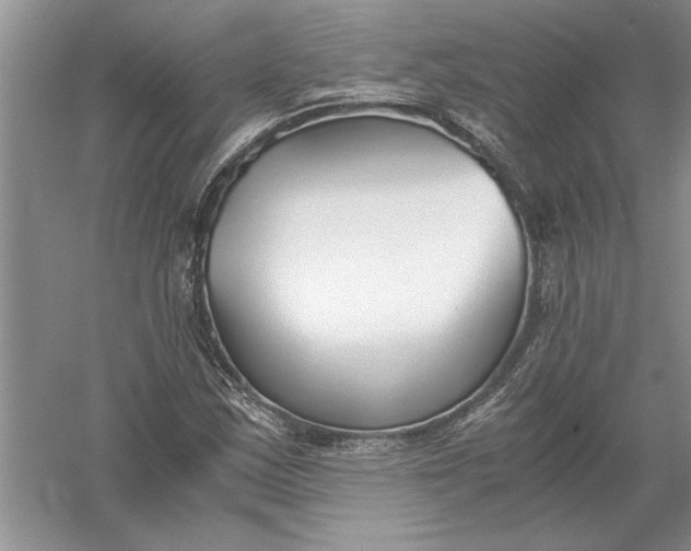 X0000056001163200509092038