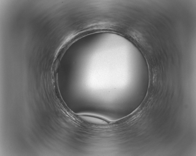 X0000056001164200509092038