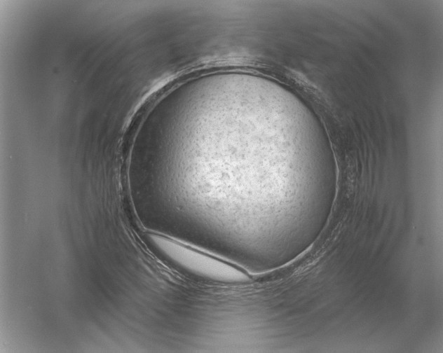 X0000056001166200509092038