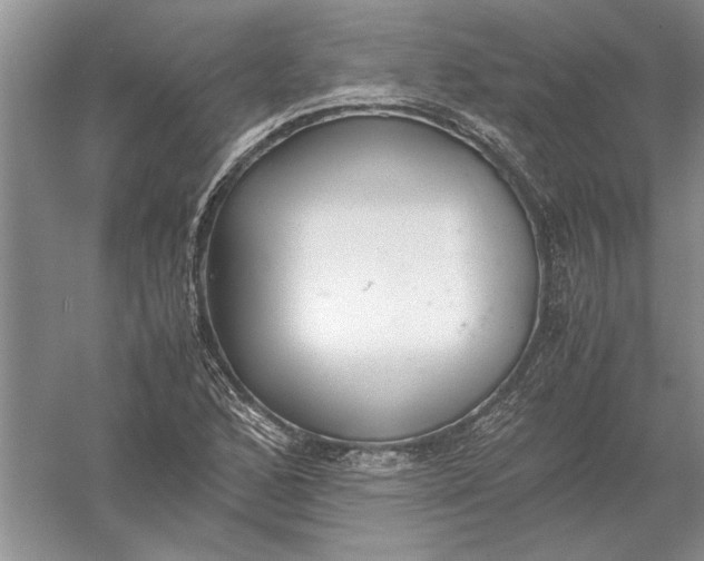 X0000056001168200509092038