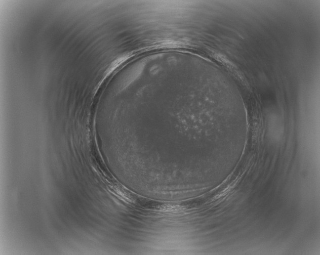 X0000056001170200509092038