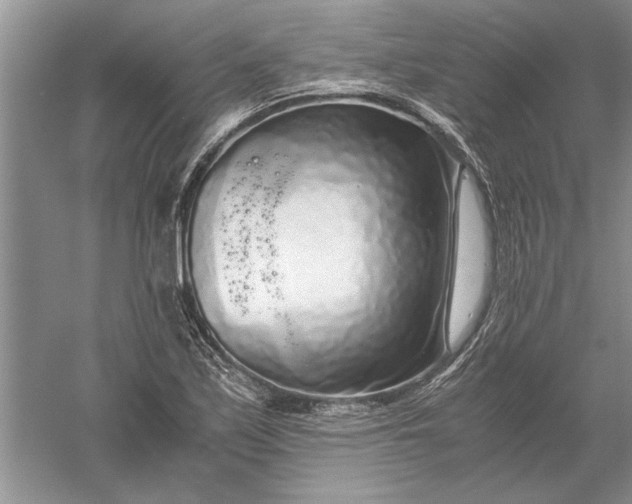 X0000056001171200509092038