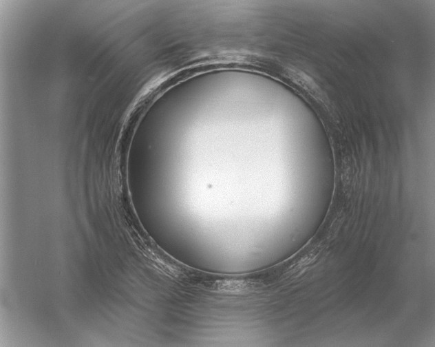 X0000056001172200509092038