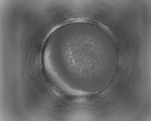 X0000056001174200509092038