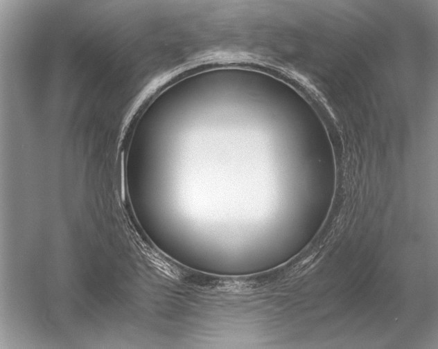 X0000056001175200509092038