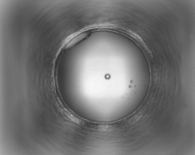 X0000056001176200509092038