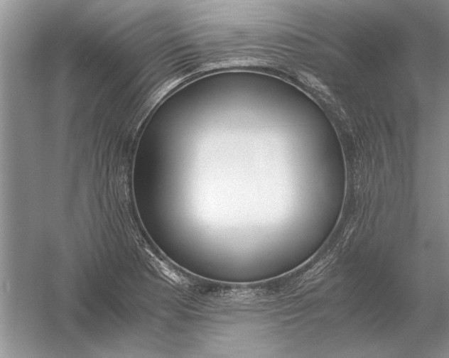 X0000056001177200509092038