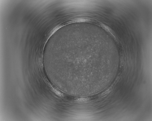 X0000056001178200509092038